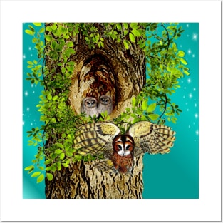 Nesting Owl Posters and Art